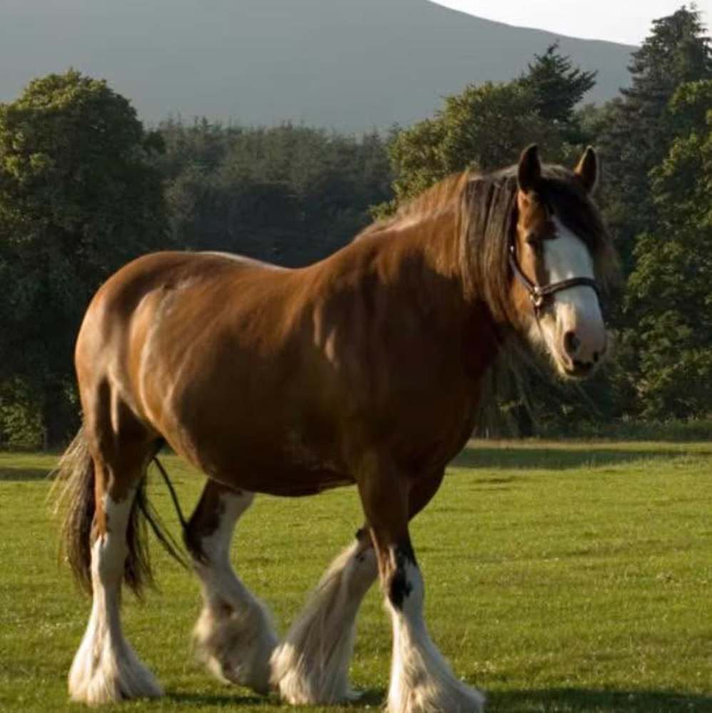 Meet your Posher, Louisa